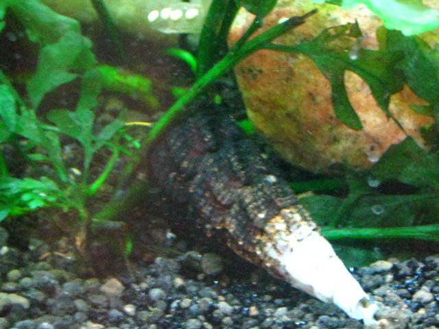 IMG_1757.JPG