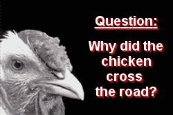 chicken-cross-road.gif