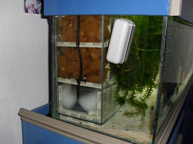 SDC10443.JPG SDC10443.JPG
