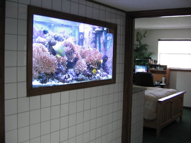 2005-04-30 (3).JPG
