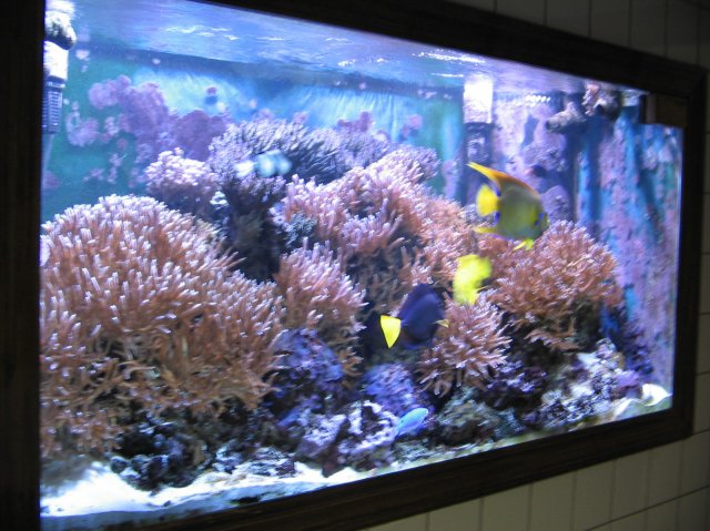 2005-04-30 (5).JPG