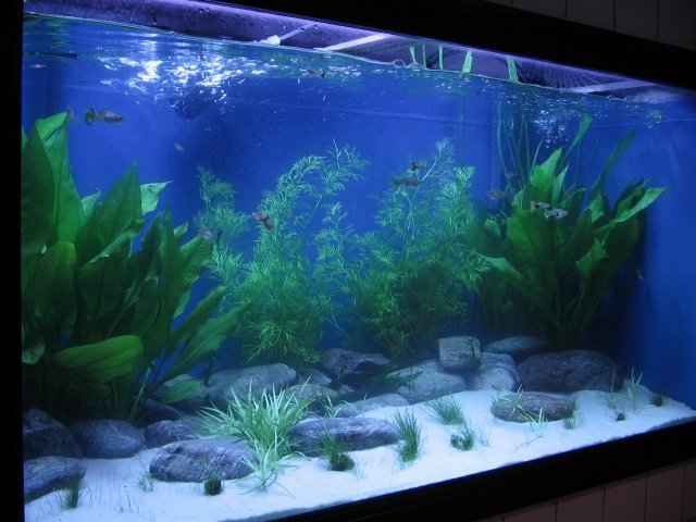 STG_0024.JPG STG_0024.JPG