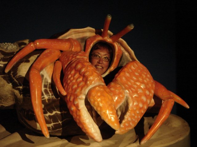 crabby noods.JPG