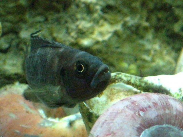 IMG_1158.JPG