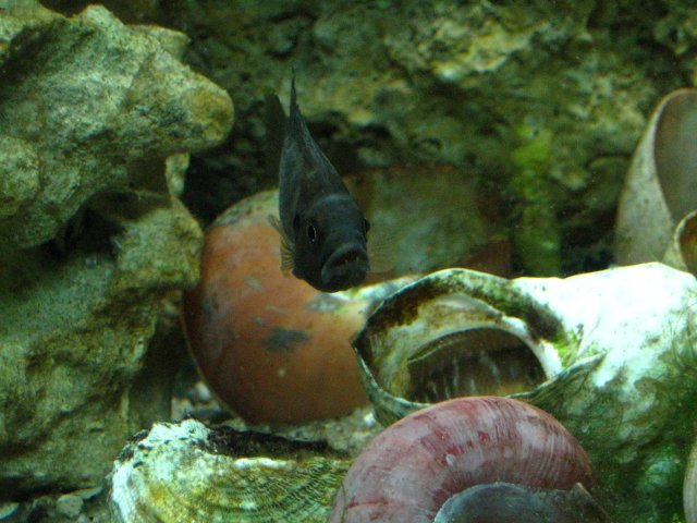 IMG_1152.JPG