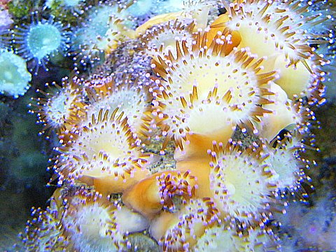2009_080708729timelapse0017.JPG