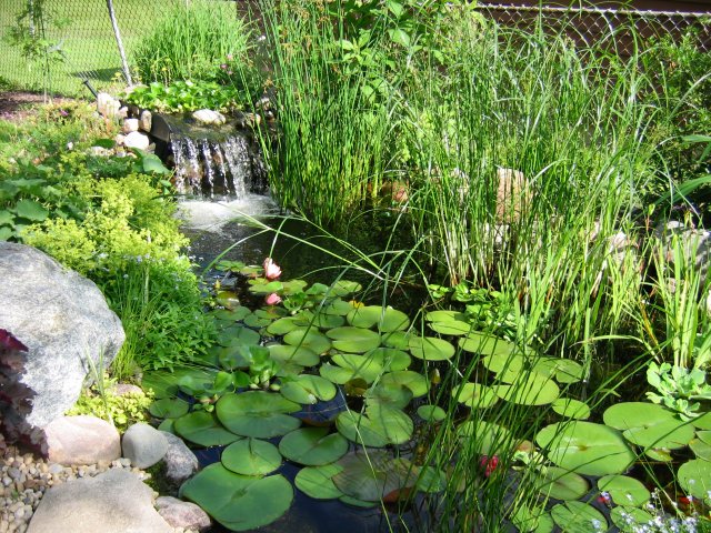 Nik's Misc. Pics. 130.jpg Nik's Misc. Pics. 130.jpg