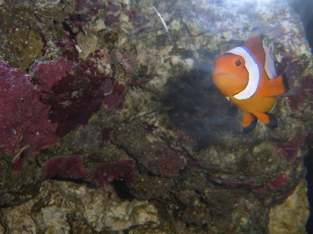 SUC50140.JPG