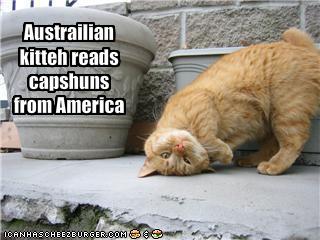 funny-pictures-australian-cat-reads-american-captions.jpg