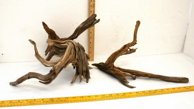 NANO STUMP PKG 54 OVERALL0001.JPG