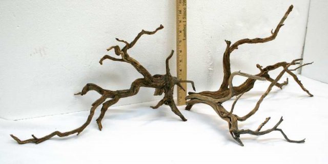 NANO STUMP PKG 49 SIDE 20001.JPG