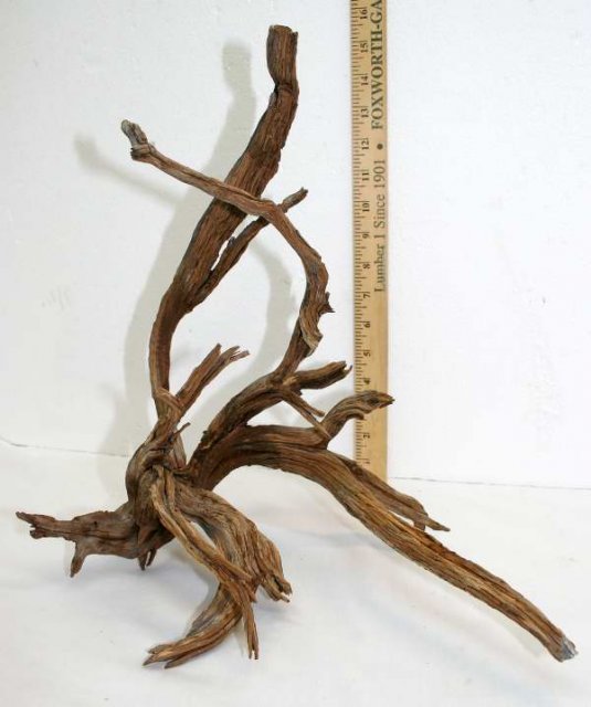 MED STUMP PKG 39 SIDE0001.JPG
