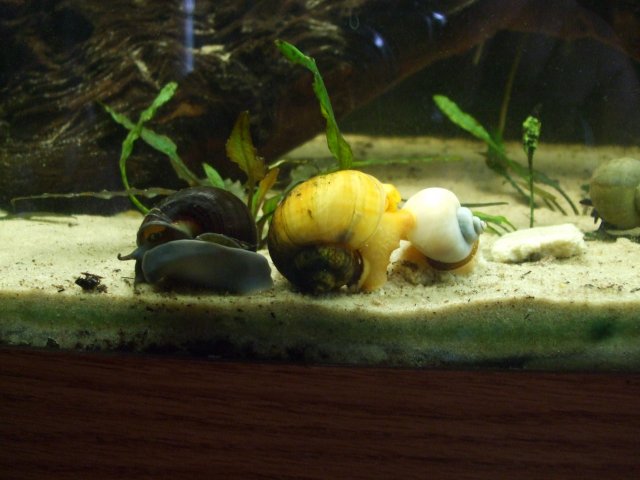 Three's company.jpg