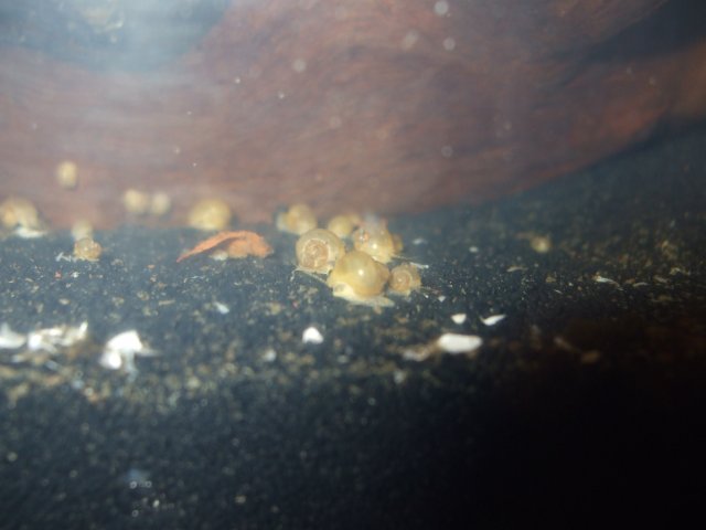 Babies on the sand.jpg