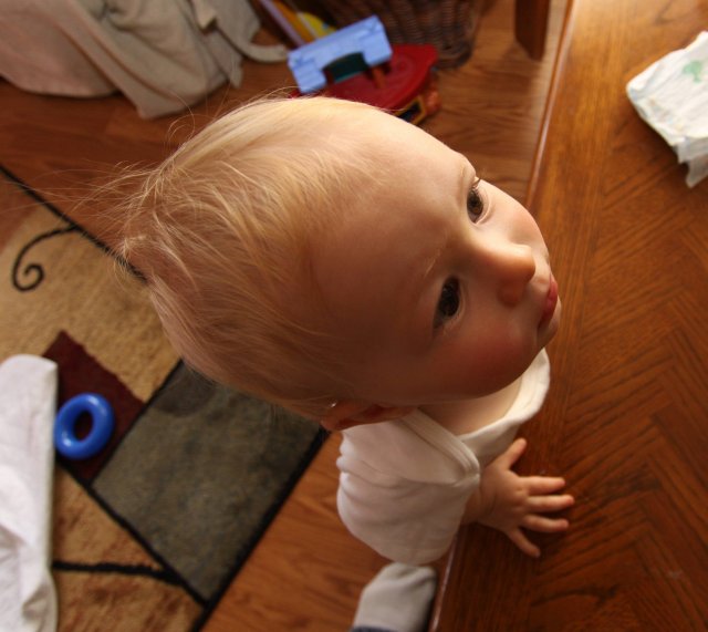 Wide angle Devin 09.jpg