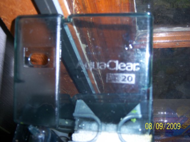 100_2190.jpg 100_2190.jpg