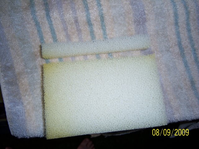 100_2186.jpg 100_2186.jpg