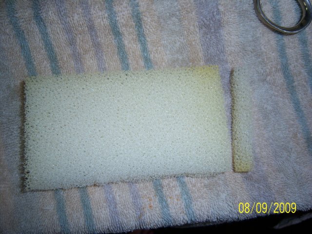 100_2187.jpg 100_2187.jpg