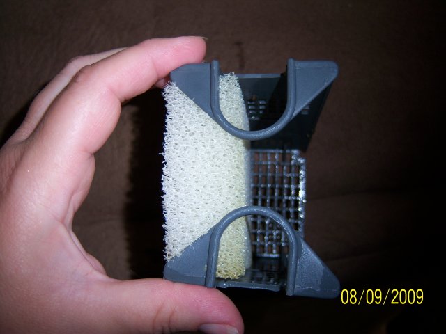 100_2192.jpg 100_2192.jpg