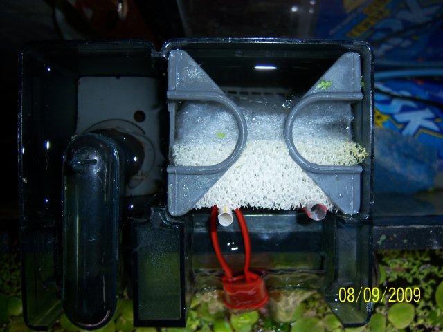 100_2181.jpg 100_2181.jpg