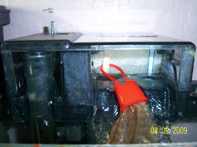 100_2198.jpg 100_2198.jpg