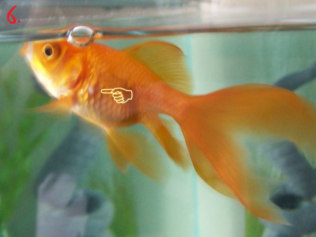 100_0153 copy.jpg