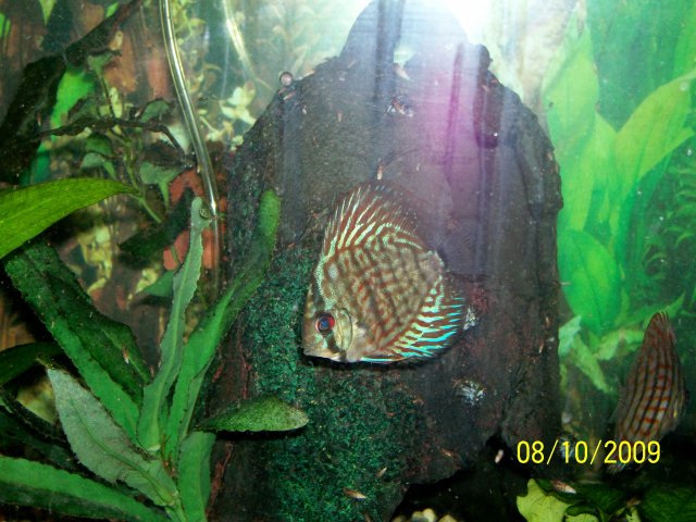 000_3280.jpg