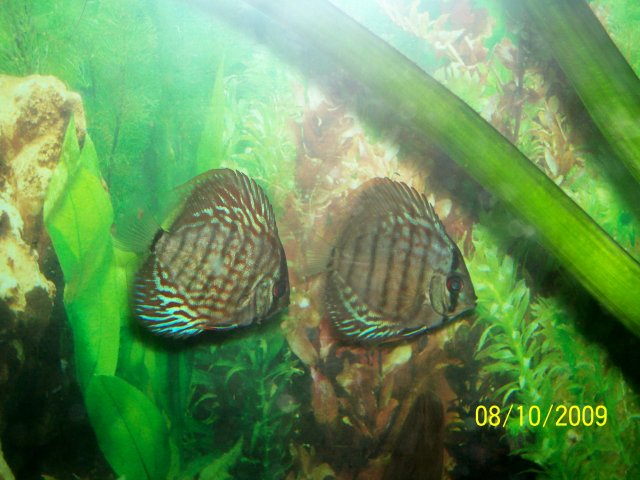 000_3287.jpg