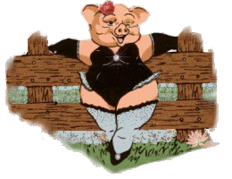 pig32.gif pig32.gif