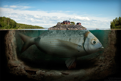 fish_island.jpg