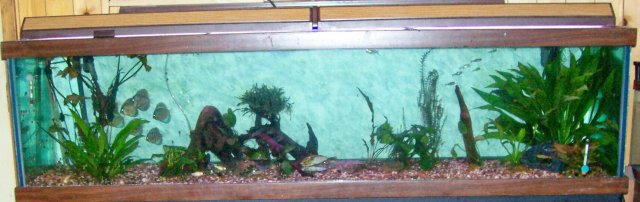 000_3305.jpg