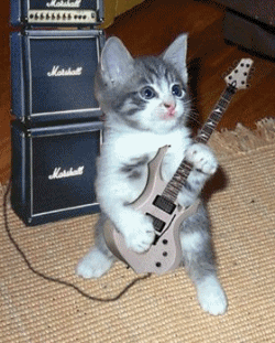funny_37.gif
