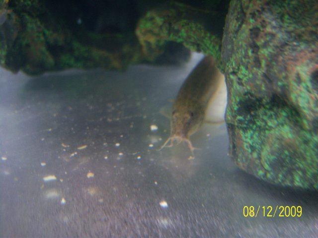 100_2209.jpg 100_2209.jpg