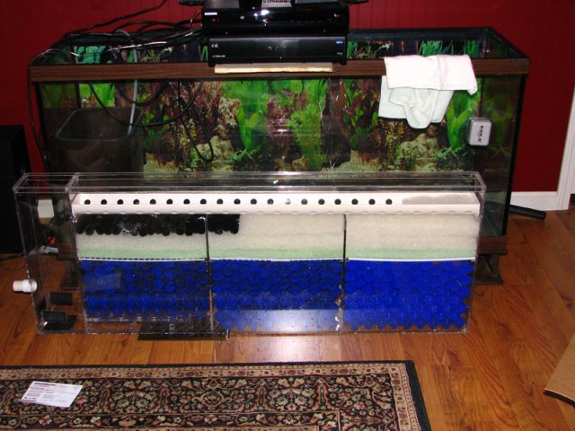 IMG_8479xx.jpg IMG_8479xx.jpg