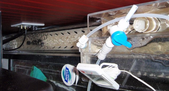 P8140670.JPG P8140670.JPG