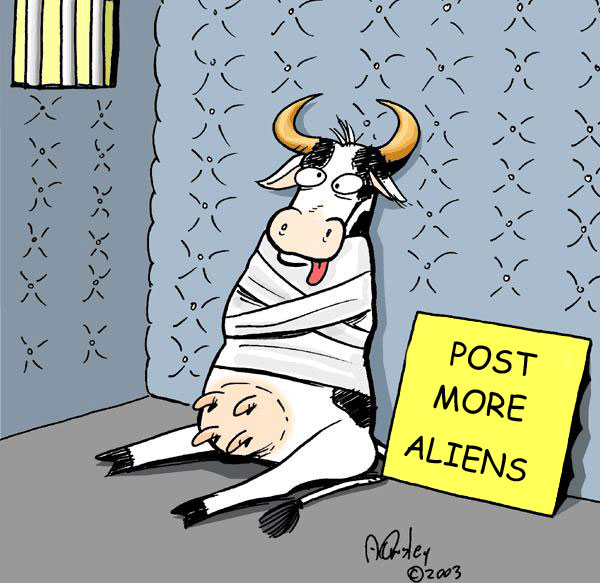 madcow.jpg
