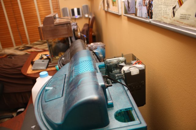 IMG_1982.JPG IMG_1982.JPG