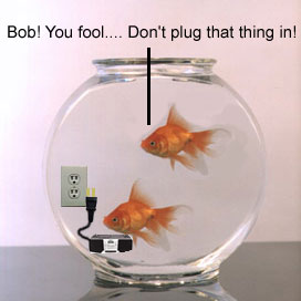 Goldfish.jpg