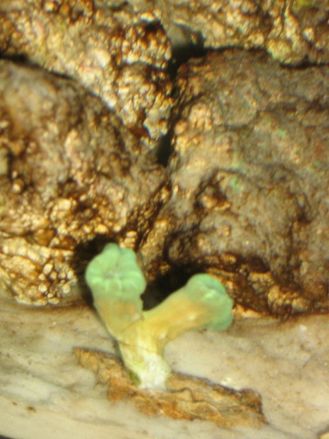 IMG_2294.JPG