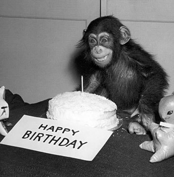 bdaymonkey.jpg