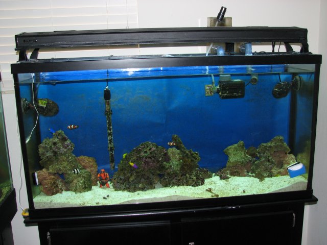 IMG_2637.JPG IMG_2637.JPG
