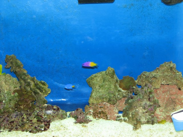 IMG_2642.JPG IMG_2642.JPG