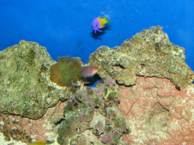 IMG_2648.JPG IMG_2648.JPG