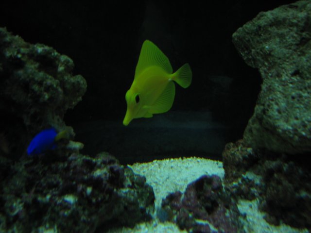 IMG_2693.JPG IMG_2693.JPG