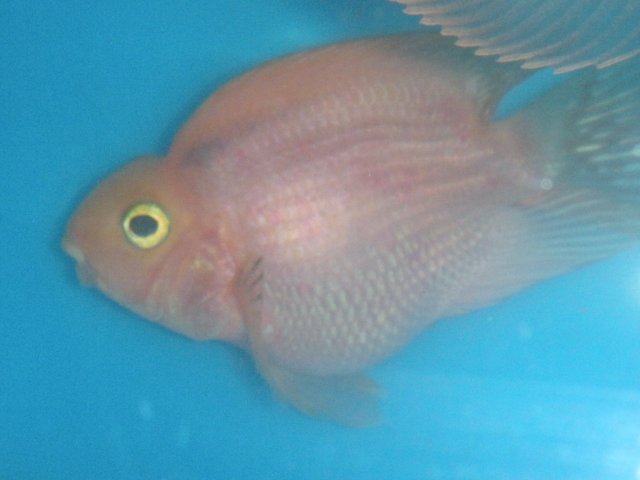 RSCN1235.JPG