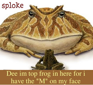 frog-1.jpg