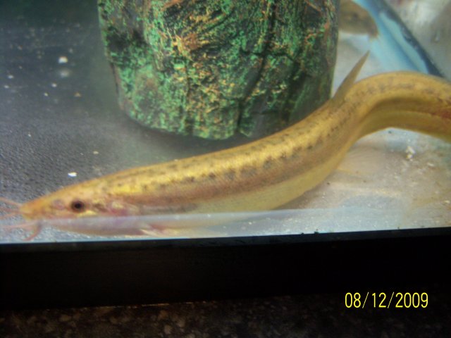 100_2202.jpg