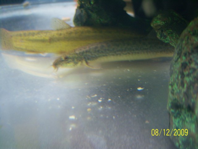 100_2219.jpg