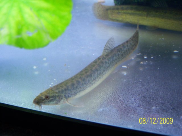100_2222.jpg