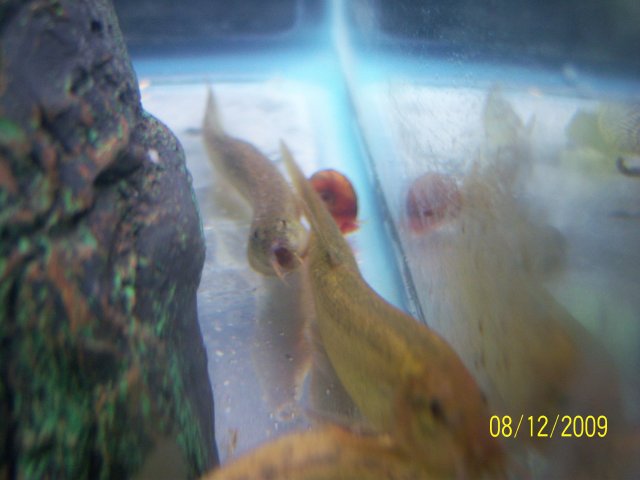 100_2206.jpg